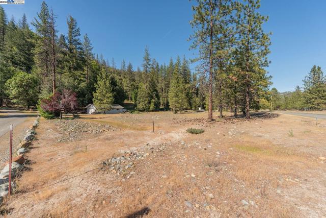 430 Bridge Rd, Douglas City CA: https://media.crmls.org/mediaz/31b44151-5da6-47b4-a59d-94f7a96b712d.jpg