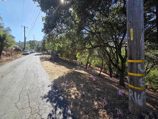 12 Vista Del Orinda, Orinda CA: https://media.crmls.org/mediaz/31b72f66-eaa4-4118-afc1-d2a05169a54b.jpg