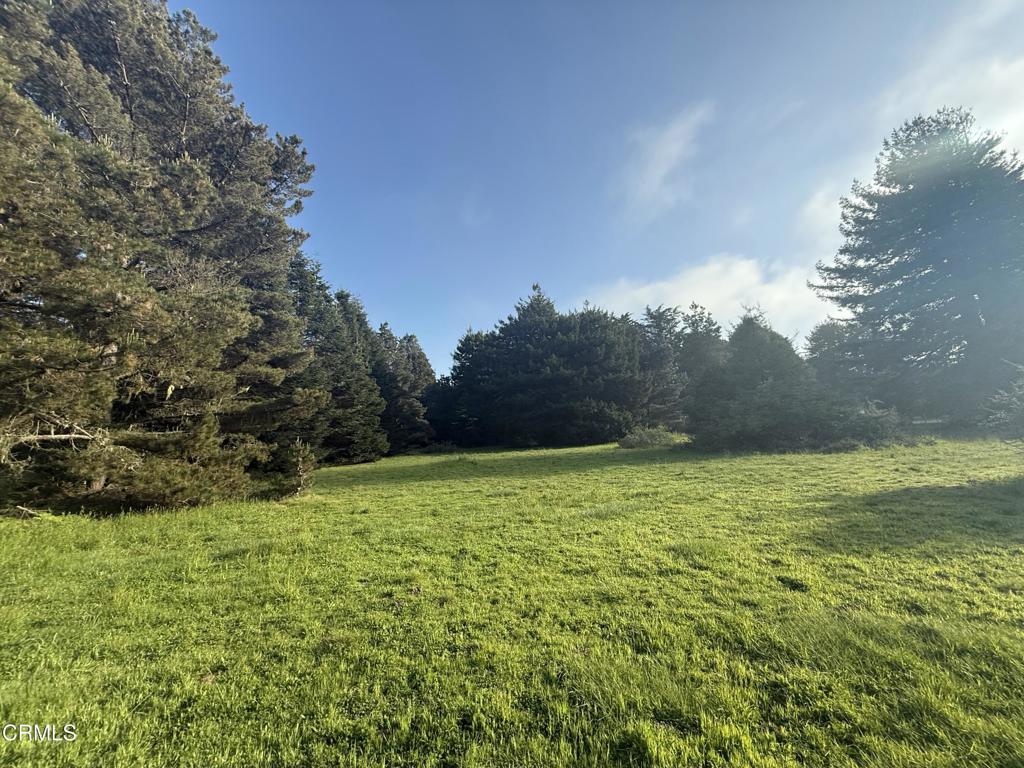 https://media.crmls.org/mediaz/31b9099d-7407-4b95-aaea-415234a3c774.jpg?preset=X-Large