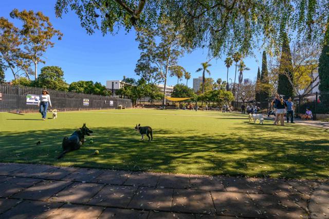 Little Italy dog park