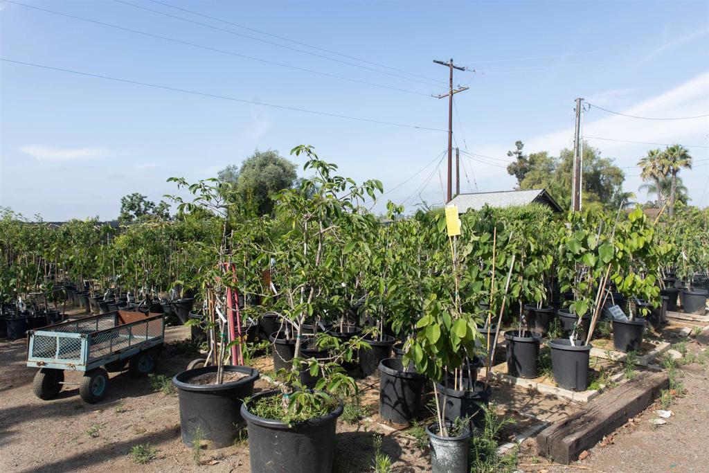 MLS #NDP2505846 image #9