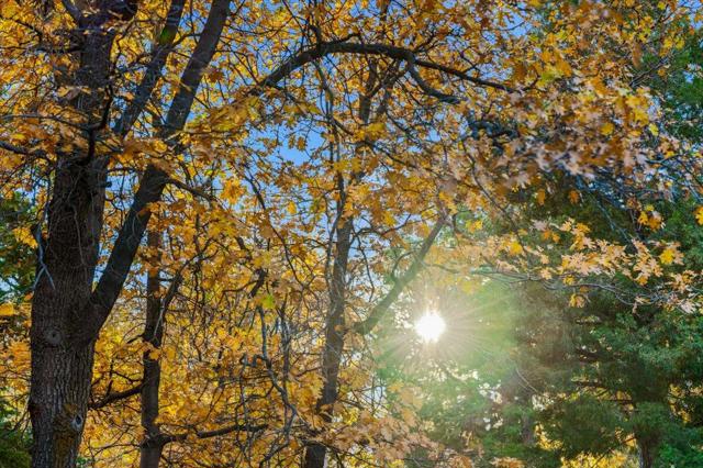 1614 S Colusa Drive, Big Bear CA: https://media.crmls.org/mediaz/31c8fb16-5253-4a4d-93a1-cafaad9dc193.jpg