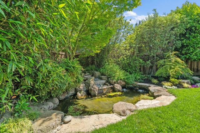 989 Lane Avenue, Mountain View CA: https://media.crmls.org/mediaz/31c904a4-f4e9-4f53-91c3-09c00ee2db02.jpg