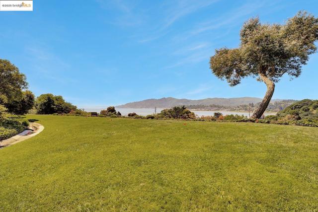 14 Janet Way, Tiburon CA: https://media.crmls.org/mediaz/31cafcfa-262a-4039-b812-52149a2d93db.jpg