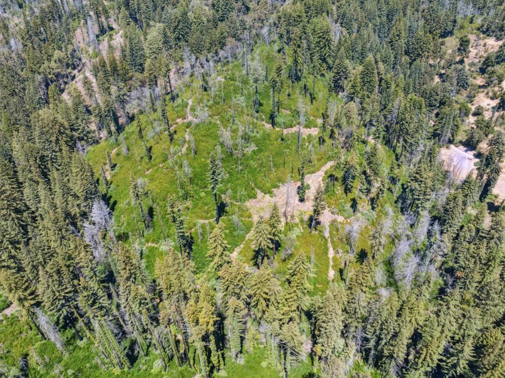 MLS #ML82015630 image #24