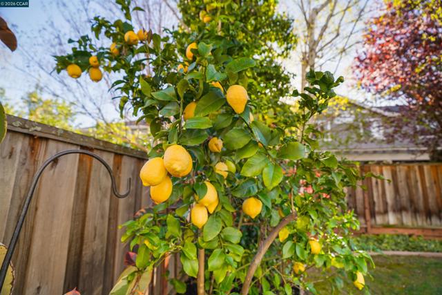 Image 49 of 60 For 34 Elmwood Dr