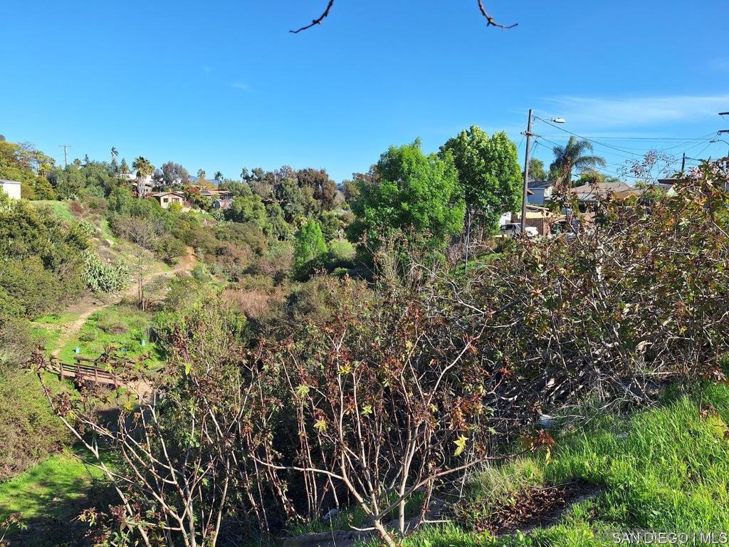 San Diego - photo 5