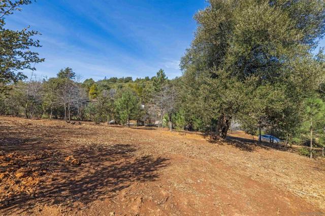0 Frisius Dr, Julian CA: https://media.crmls.org/mediaz/31e78e5f-946b-4151-933d-bb154245f1e0.jpg