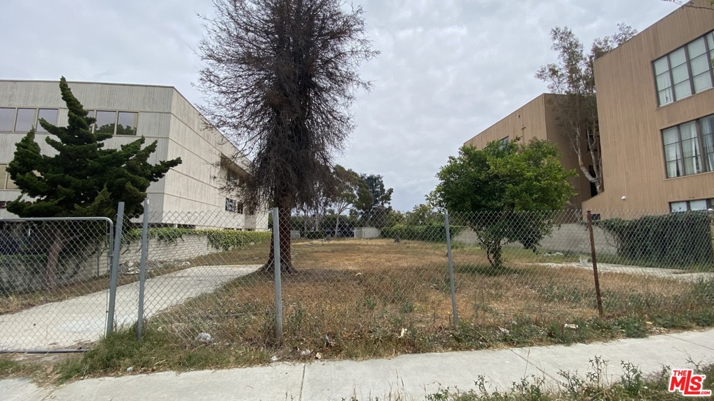 Image 7