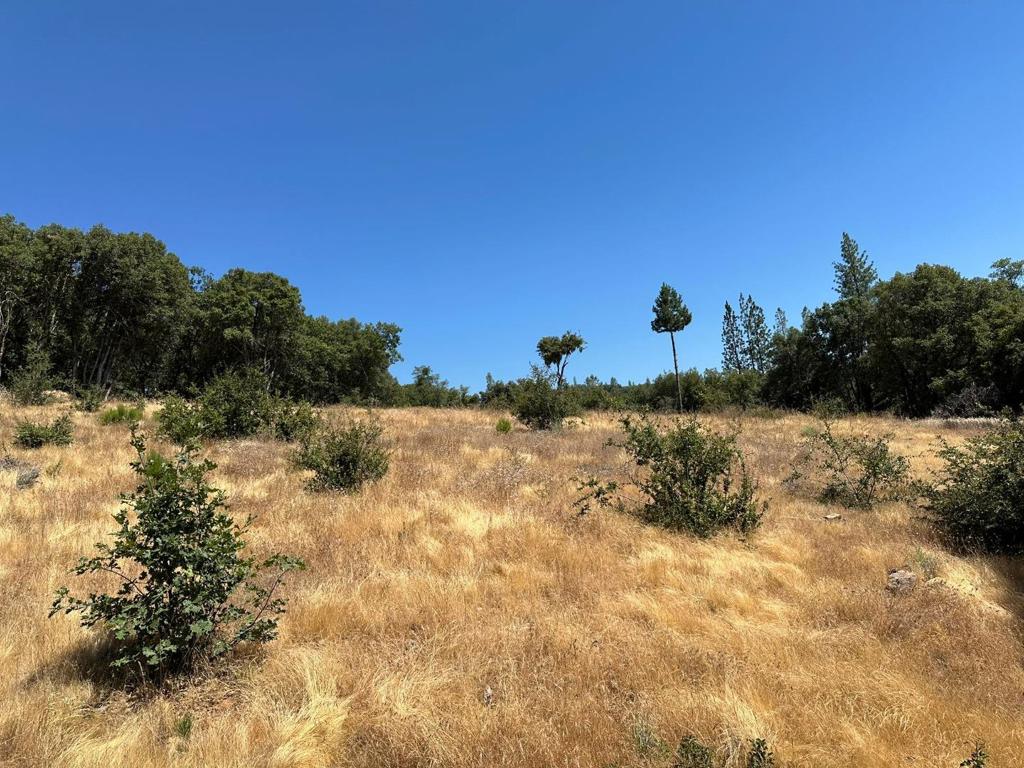 MLS #ML81974509 image #8