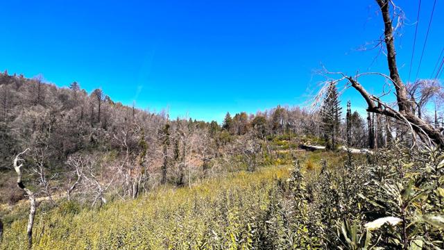 11035 Empire Grade, Santa Cruz CA: https://media.crmls.org/mediaz/31ff0d1a-b5d8-4b17-af5b-667d275d95fb.jpg