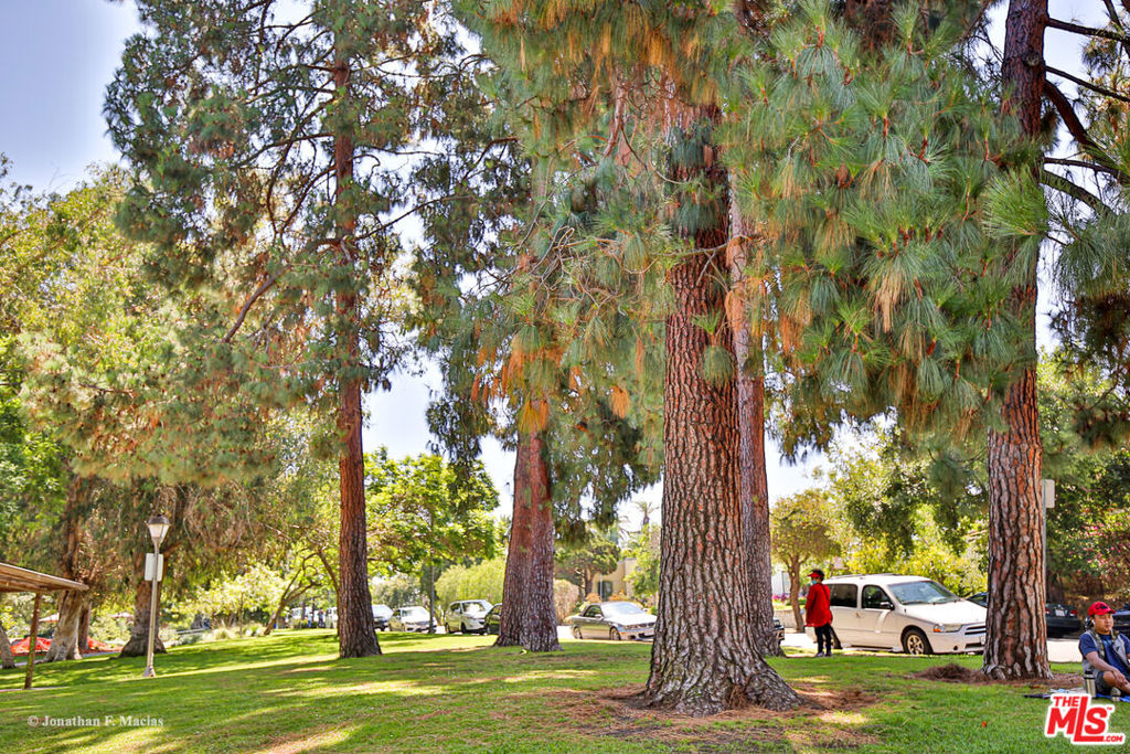 MLS #25511719 img 21