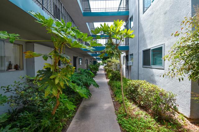Image 17 of 23 For 4885 Cole Street 38