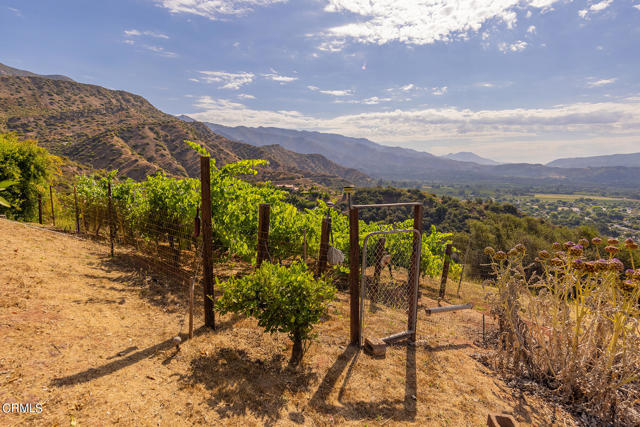 Detail Gallery Image 23 of 50 For Address Is Not Disclosed, Ojai,  CA 93023 - 2 Beds | 2 Baths