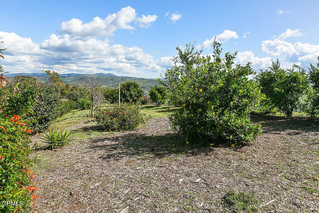 Detail Gallery Image 46 of 66 For 11990 Presilla Rd, Santa Rosa,  CA 93012 - 4 Beds | 3/1 Baths