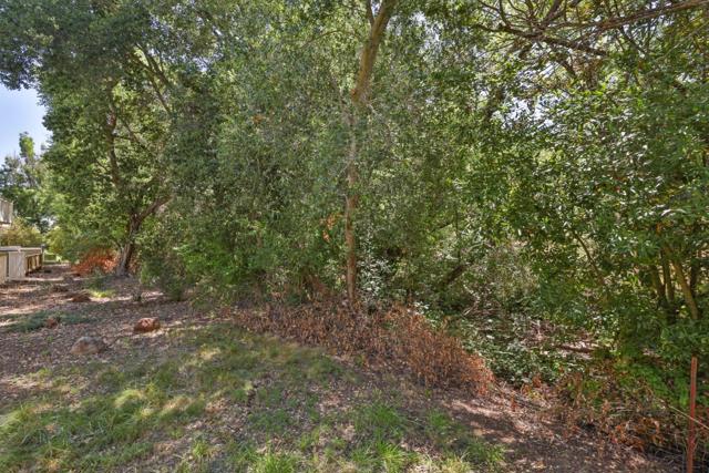 1219 Polk Spring Court, San Jose CA: https://media.crmls.org/mediaz/3221eaaa-46e8-4430-a9fc-2a003bf68947.jpg