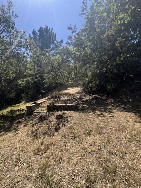 17160 Wilson Way, Royal Oaks CA: https://media.crmls.org/mediaz/322bd57c-44e9-4bd2-8506-06df9a590df9.jpg