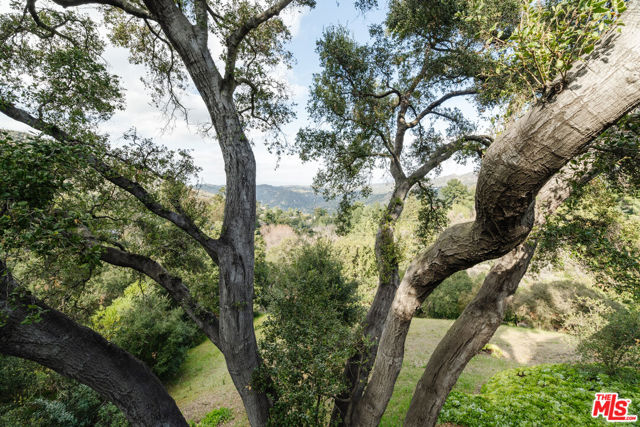 2002 Tuna Canyon Road, Topanga CA: https://media.crmls.org/mediaz/3230cc0f-405c-47f0-809c-50295abf0c4b.jpg
