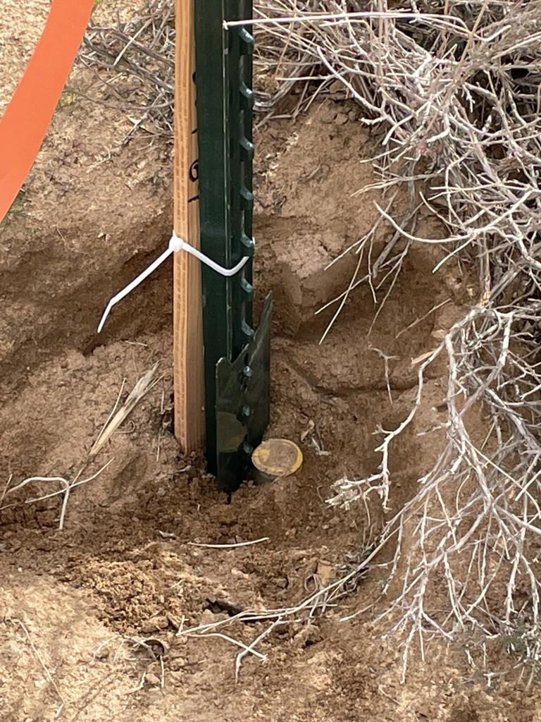 MLS #219145913DA image #13