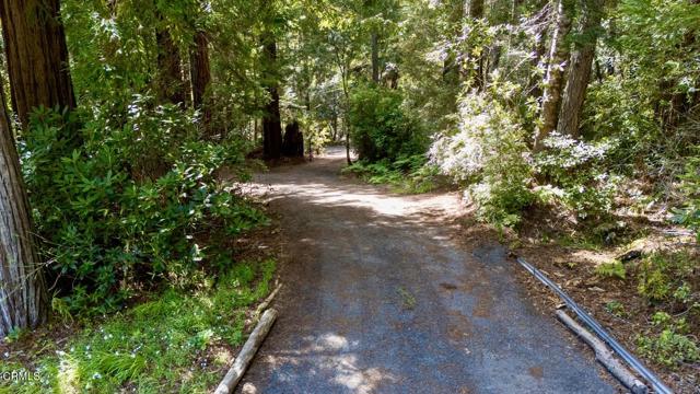 Detail Gallery Image 6 of 42 For 33100 Frog Pond Rd, Little River_1,  CA 95456 - 3 Beds | 3 Baths