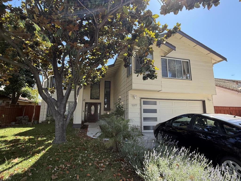 5077 Bengal Drive