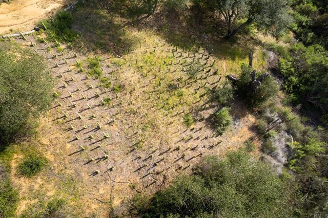 Detail Gallery Image 61 of 74 For 11782 Betsworth Rd, Valley Center,  CA 92082 - 4 Beds | 3 Baths