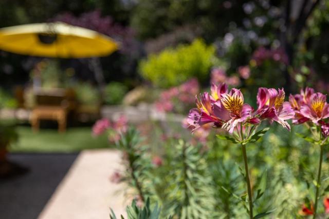 3483 Ocean Avenue, Carmel CA: https://media.crmls.org/mediaz/3241e6a1-413d-4762-b3ec-461983cef23b.jpg