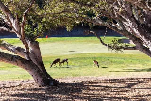 25520 Via Malpaso (Lot 92), Carmel CA: https://media.crmls.org/mediaz/3243bf63-3dd7-4ca6-9620-fd579557dfb9.jpg