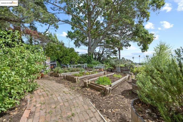 2821 Erin CT, Richmond CA: https://media.crmls.org/mediaz/3249f043-4b68-4637-b679-34ff72e20622.jpg