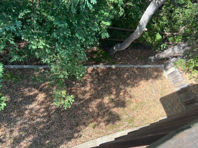7145 Wooded Lake Drive, San Jose CA: https://media.crmls.org/mediaz/325b316d-9c90-45d8-a2de-661109d1297e.jpg
