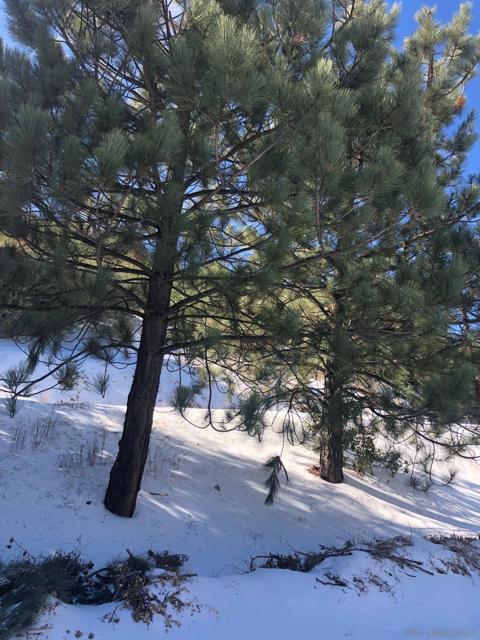 26742 San Felipe Rd, Warner Springs CA: https://media.crmls.org/mediaz/325bb59e-0b17-4116-9d54-c87b40df2d25.jpg