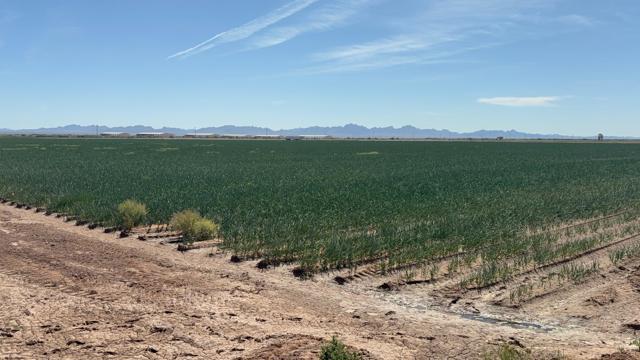 Image 6 of 17 For 187 Water Toll Acres On Ben Hulse Highway
