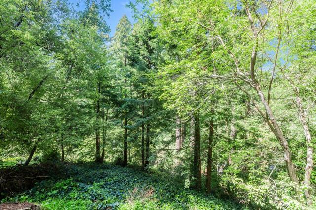 0 Big Tree Way, Woodside CA: https://media.crmls.org/mediaz/3262d2f3-c0d2-48f1-b3e7-a3eb41e88d1c.jpg