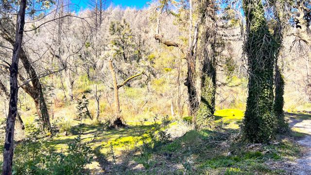 11035 Empire Grade, Santa Cruz CA: https://media.crmls.org/mediaz/3264d2b4-9ee7-40d6-9394-dc6ca5b85907.jpg