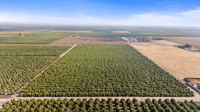 Image 5 of 10 For 0 Rd 184, Lindsay Ca