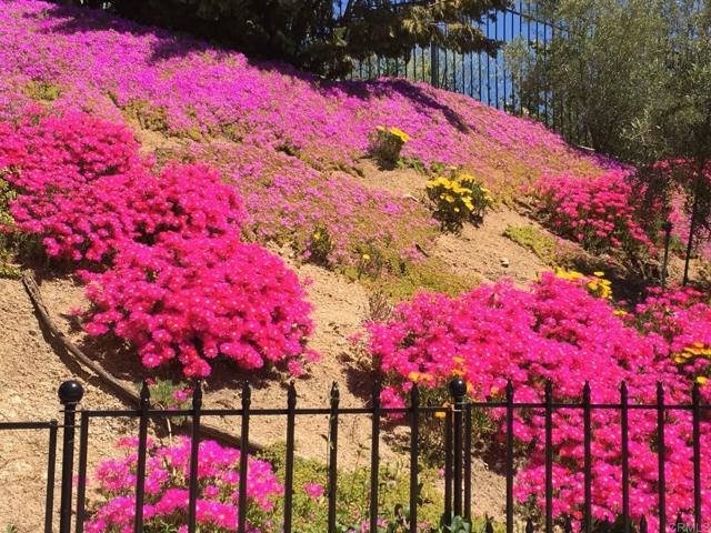 Flowers in Bloom