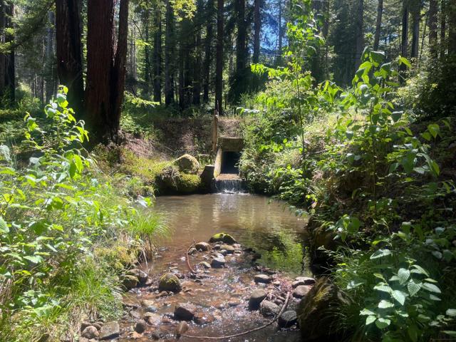 16580 Jamison Creek Road, Boulder Creek CA: https://media.crmls.org/mediaz/327a2775-3256-432c-a6af-eab0e7107000.jpg
