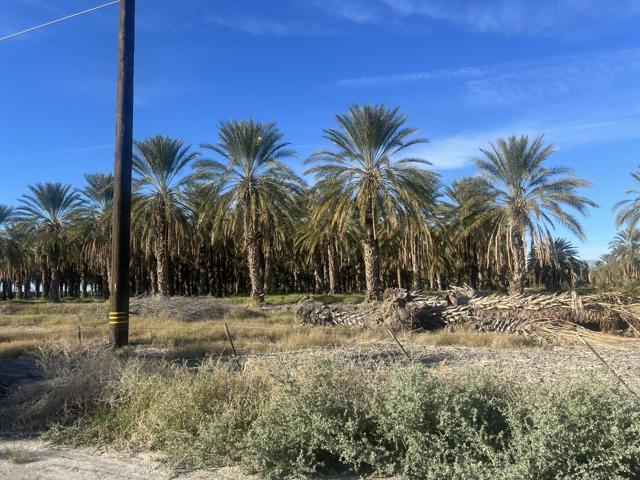 0 Nwc Pierce St & Ave 64, Thermal CA: https://media.crmls.org/mediaz/328e5d4b-3322-4b8f-8344-beea192e61b0.jpg