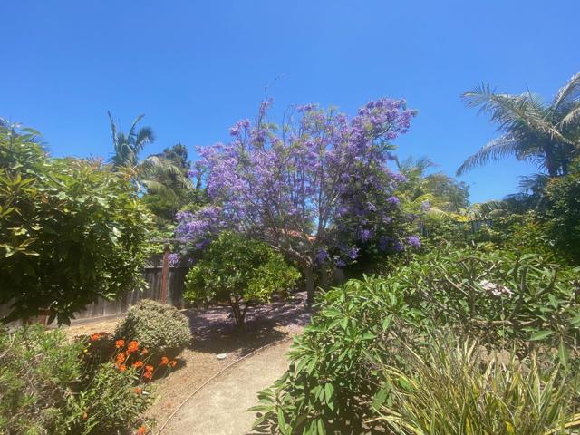 1464 Machado Street, Oceanside CA: https://media.crmls.org/mediaz/329619aa-74b1-423d-8087-e8318cd356d6.jpg