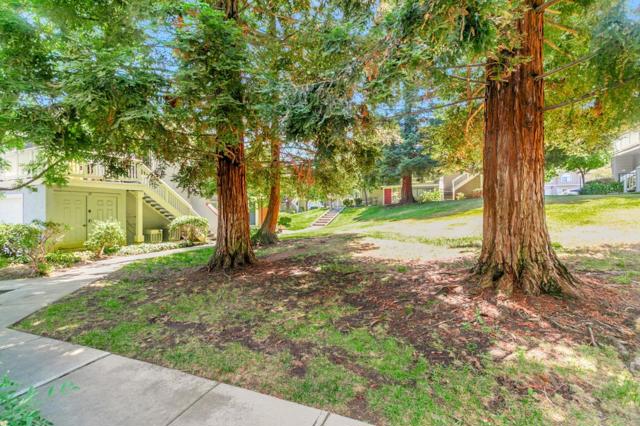 2712 Buena View Court, San Jose CA: https://media.crmls.org/mediaz/329d5458-2aa0-472d-9b35-e08b92dfaab6.jpg