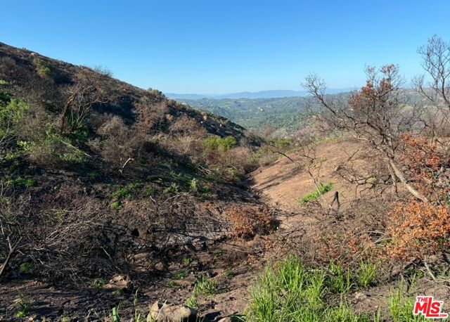 0 Fir Ridge Drive, Topanga CA: https://media.crmls.org/mediaz/329ea51d-4b00-47ab-8bbc-22c1421a6576.jpg