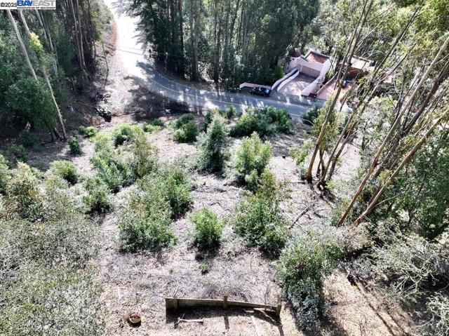 7590 Skyline Blvd, Oakland CA: https://media.crmls.org/mediaz/32aae72e-8823-4b37-86b8-8a129278dd39.jpg