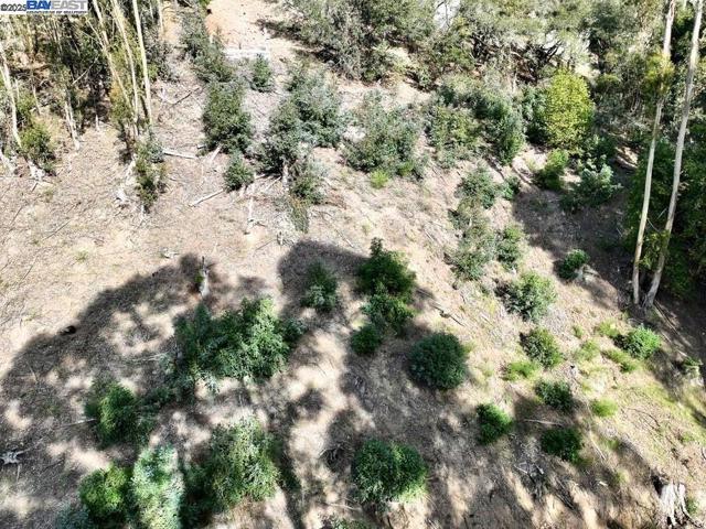 7590 Skyline Blvd, Oakland CA: https://media.crmls.org/mediaz/32af5d36-077d-435e-913b-33b66d80d43b.jpg