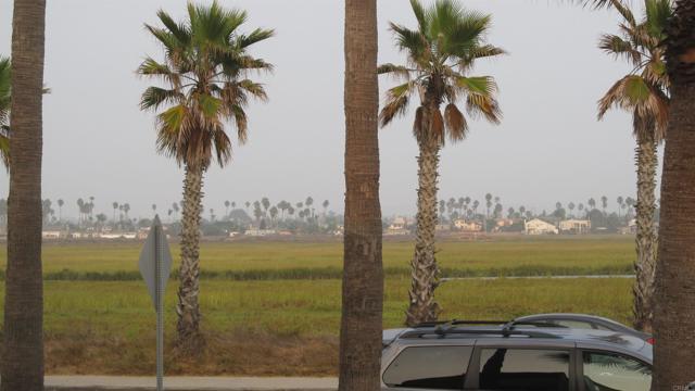 1111 Seacoast, Imperial Beach CA: https://media.crmls.org/mediaz/32b691c2-0073-49bf-a09e-954b70555a0f.jpg