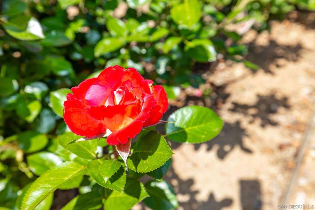 https://media.crmls.org/mediaz/32c849ce-61e8-47fa-ab3f-804eb5d4fe8d.jpg?preset=X-Large