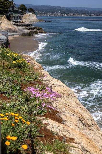 355 30th Avenue, Santa Cruz CA: https://media.crmls.org/mediaz/32cba650-3326-4410-be48-0512f6955539.jpg