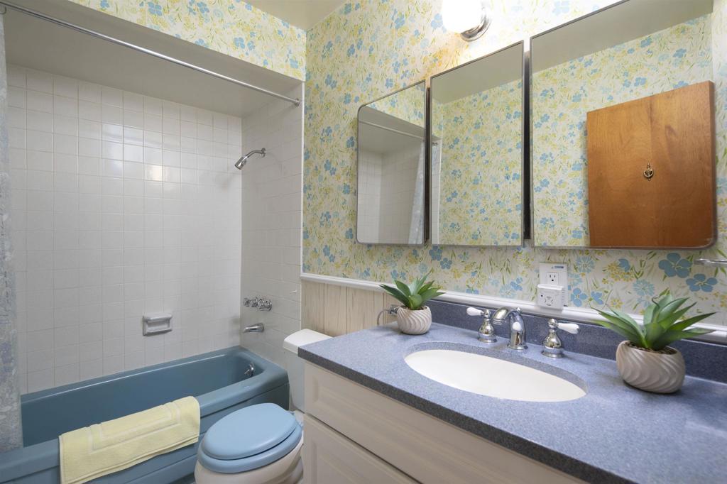 MLS #250036478SD img 21