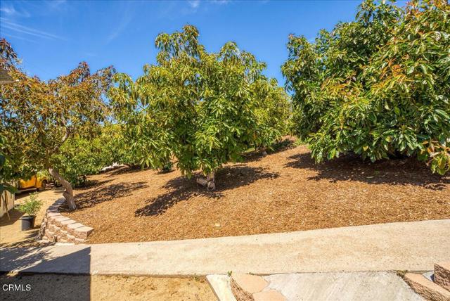 Detail Gallery Image 69 of 75 For 706 Alosta Dr, Camarillo,  CA 93010 - 3 Beds | 2 Baths