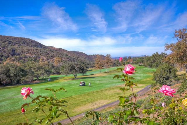 Detail Gallery Image 14 of 51 For 29092 Laurel Valley Dr, Vista,  CA 92084 - 2 Beds | 2/1 Baths