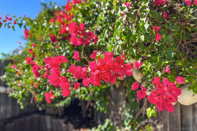 MLS #250041908SD image #57